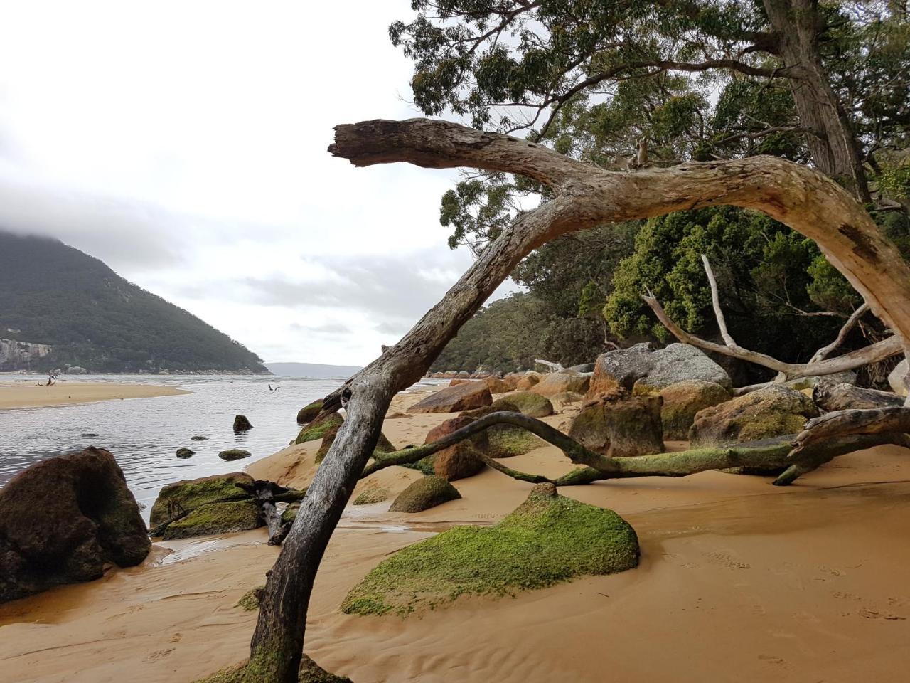 Fish Creek Adrift Accommodation Bagian luar foto